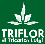 TRIFLOR di Tricarico Luigi - Productos de floricultura para flores cortadas y macetas propagadas a partir de esquejes, semillas y meristemas